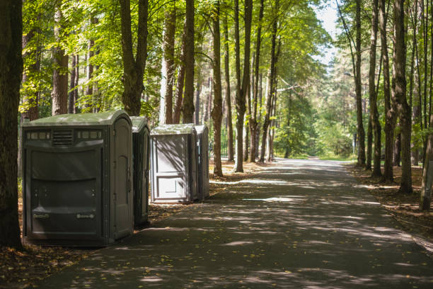 Best Porta potty rental for parties  in Ortonville, MI